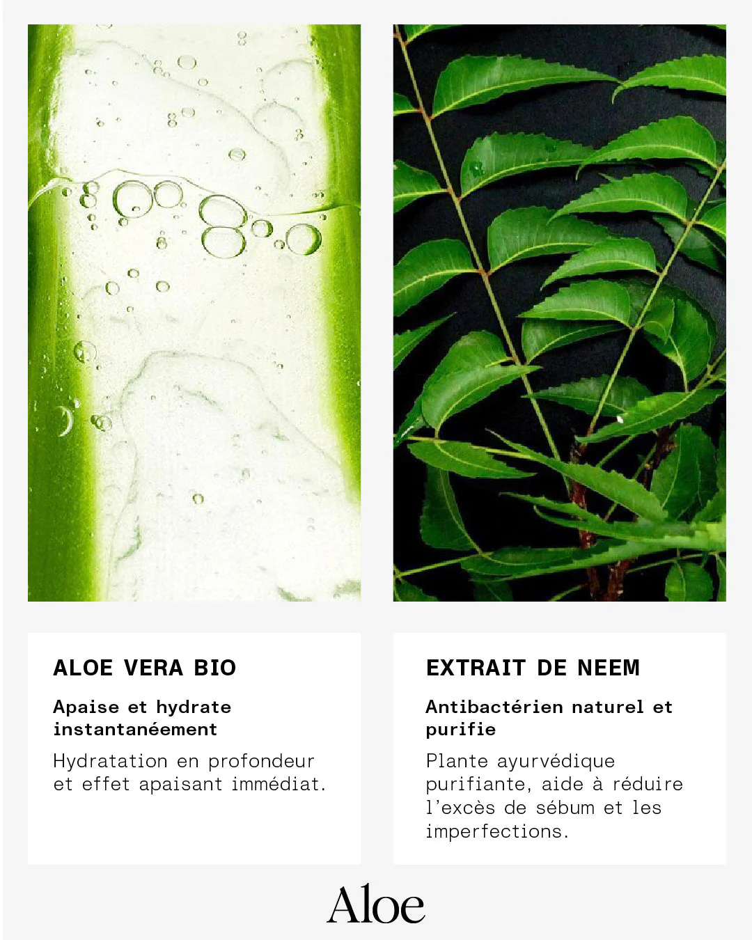 Mousse Nettoyante - Image 6