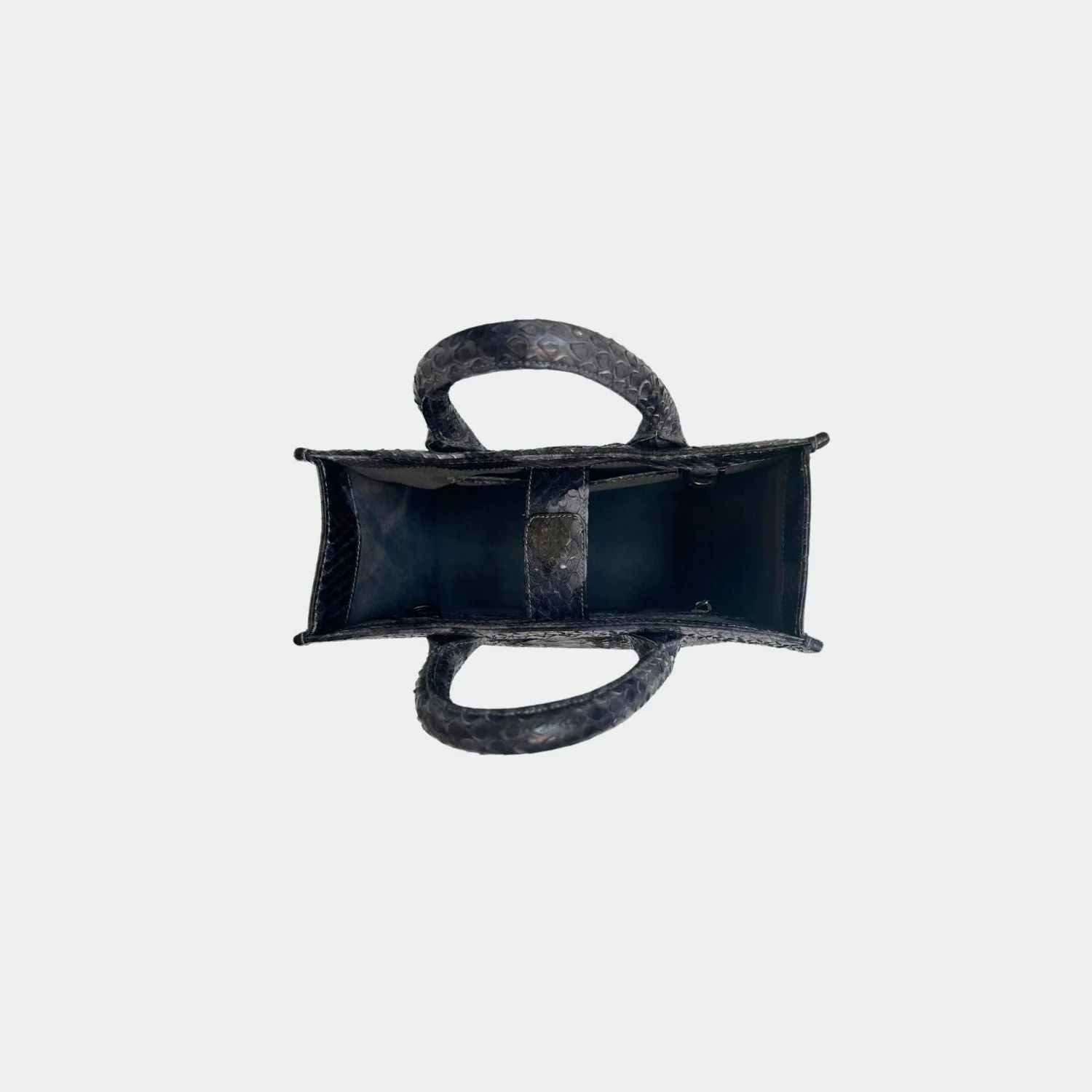 Sac Python - Ana After Dark - Image 2
