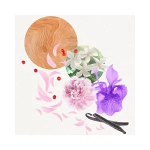 Annayaké - Kogaï For Her Eau De Parfum - 100Ml - Image 2