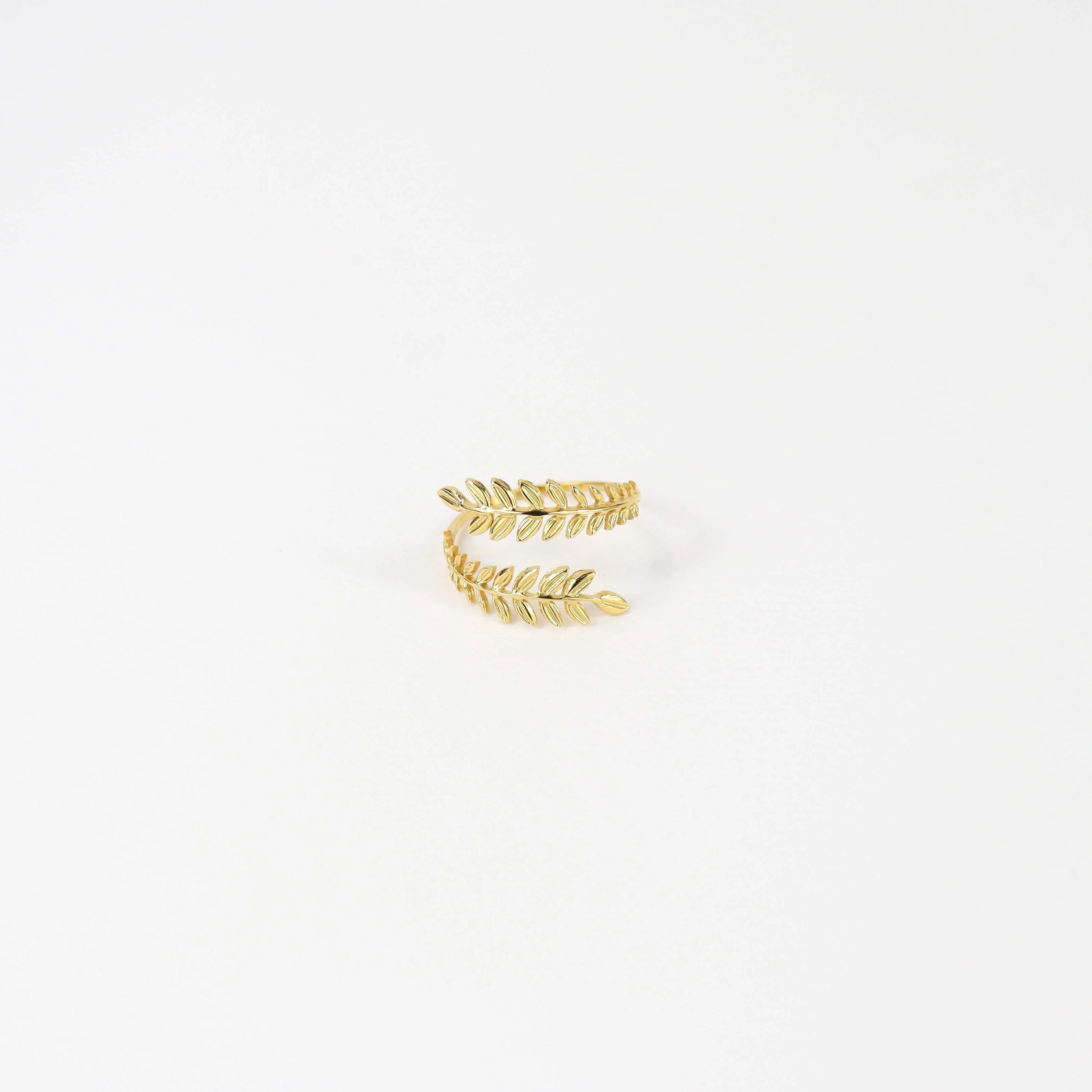 Bague Anwar
