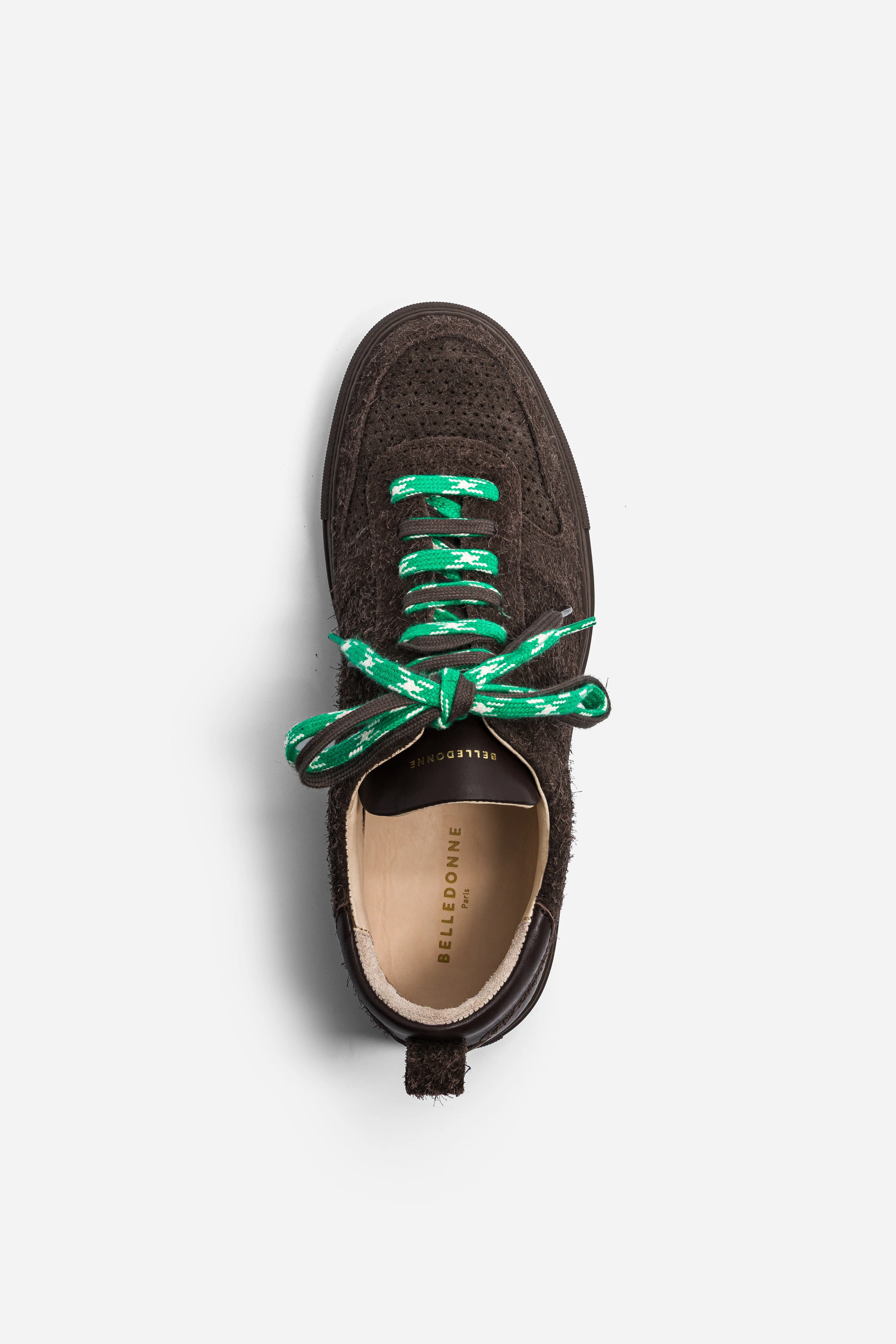 B0 - Hairy Brown - Image 2