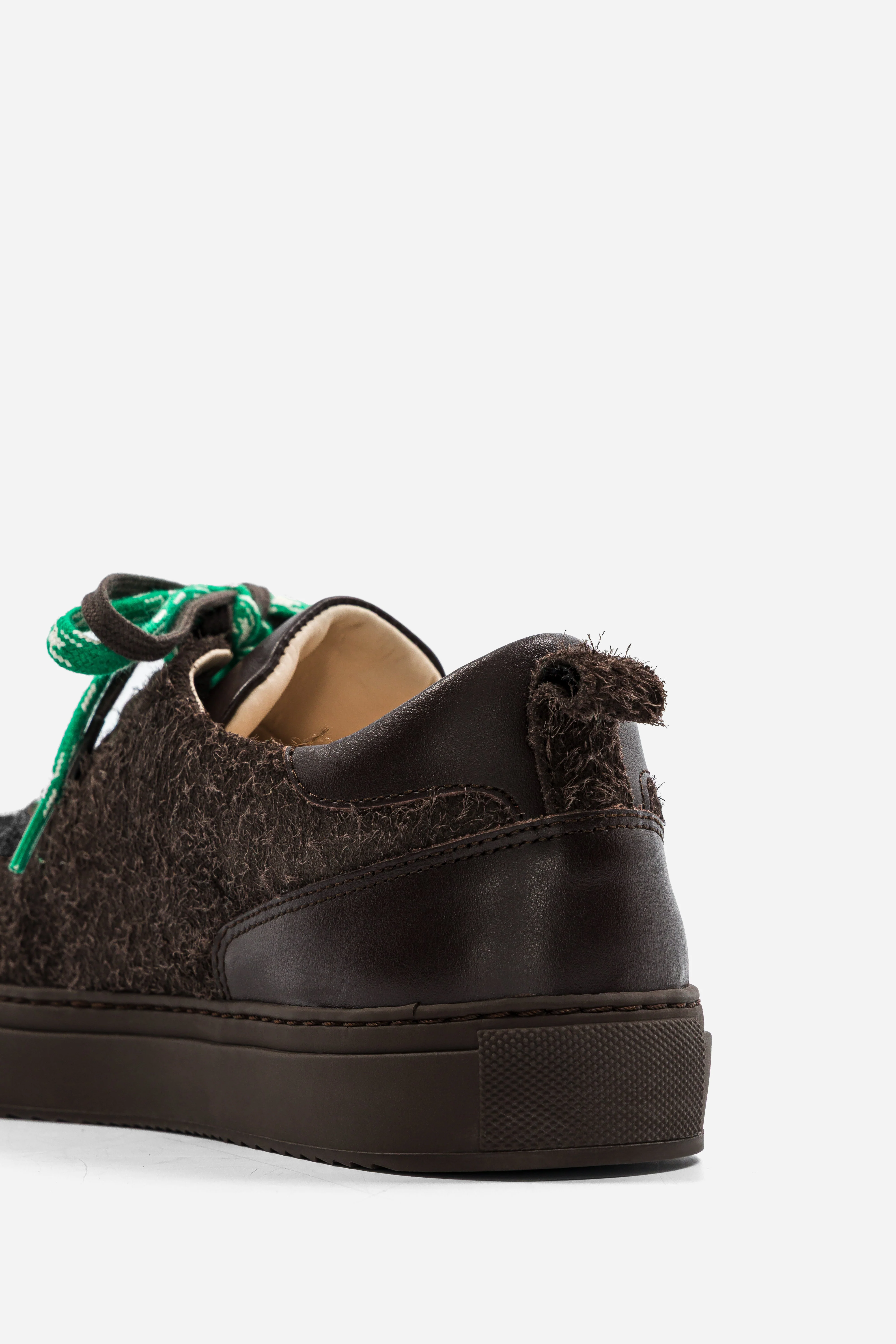 B0 - Hairy Brown - Image 3