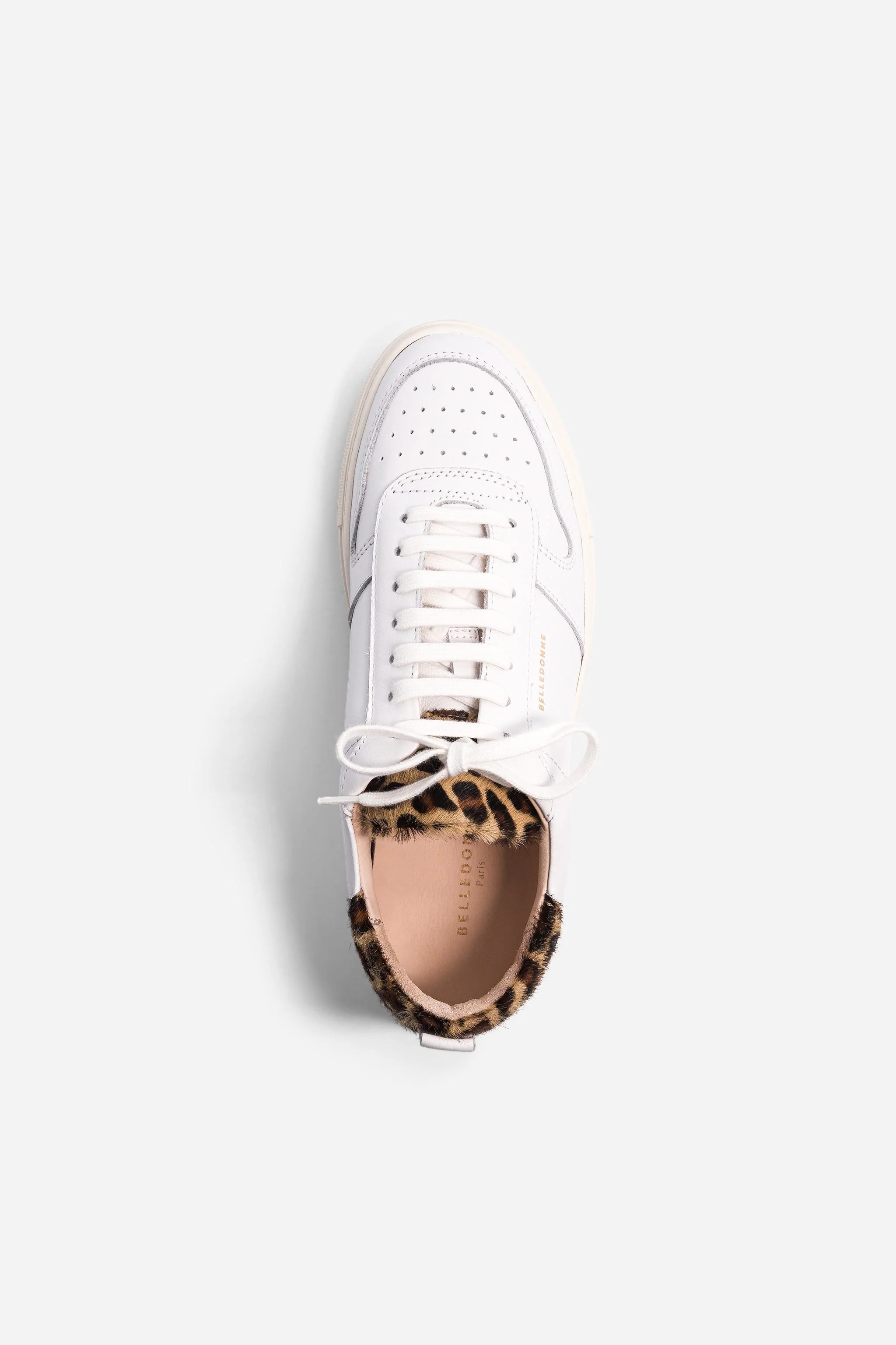 B0 - Safari White - Image 2