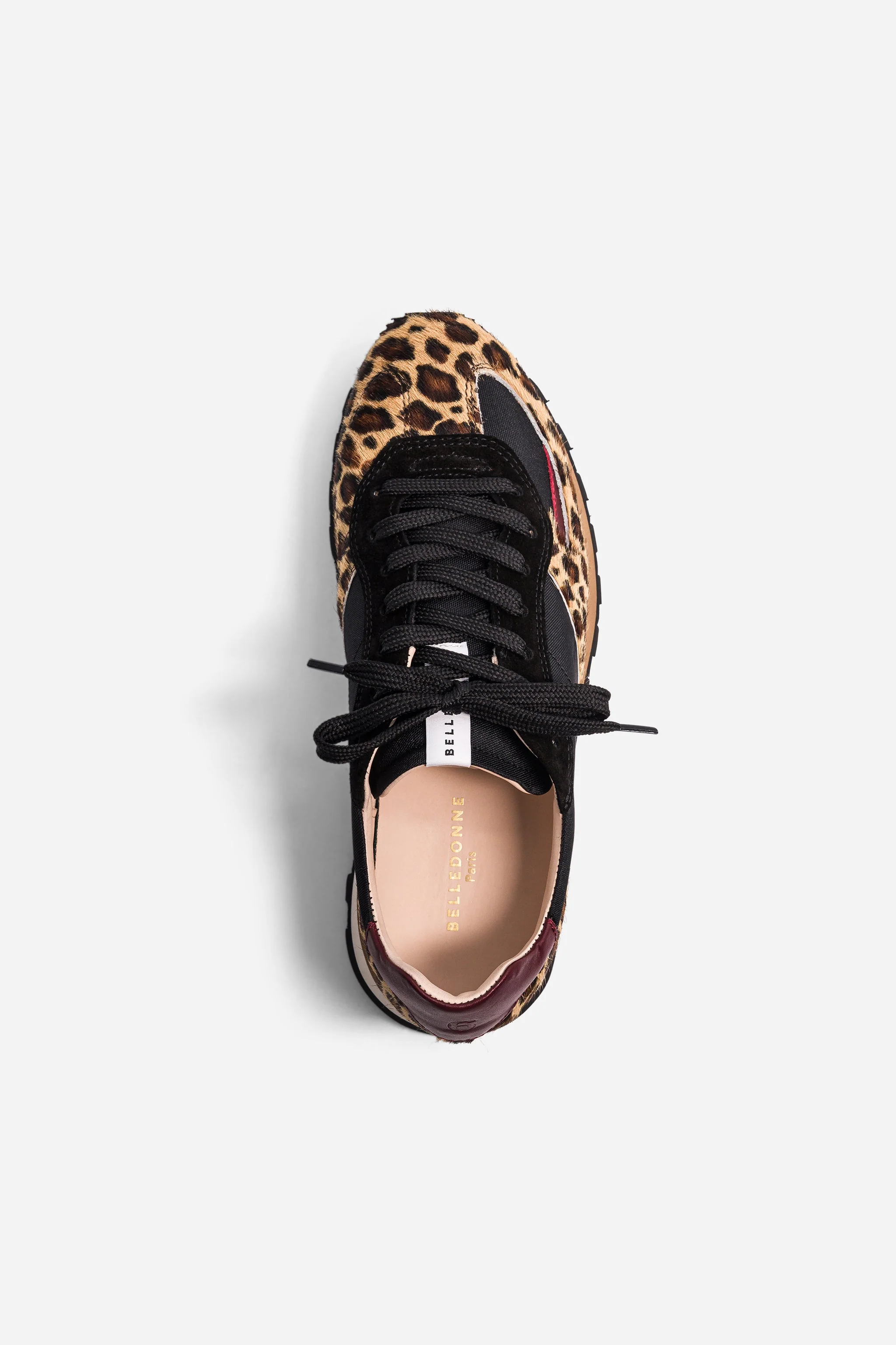 B6 Safari - Black - Image 3