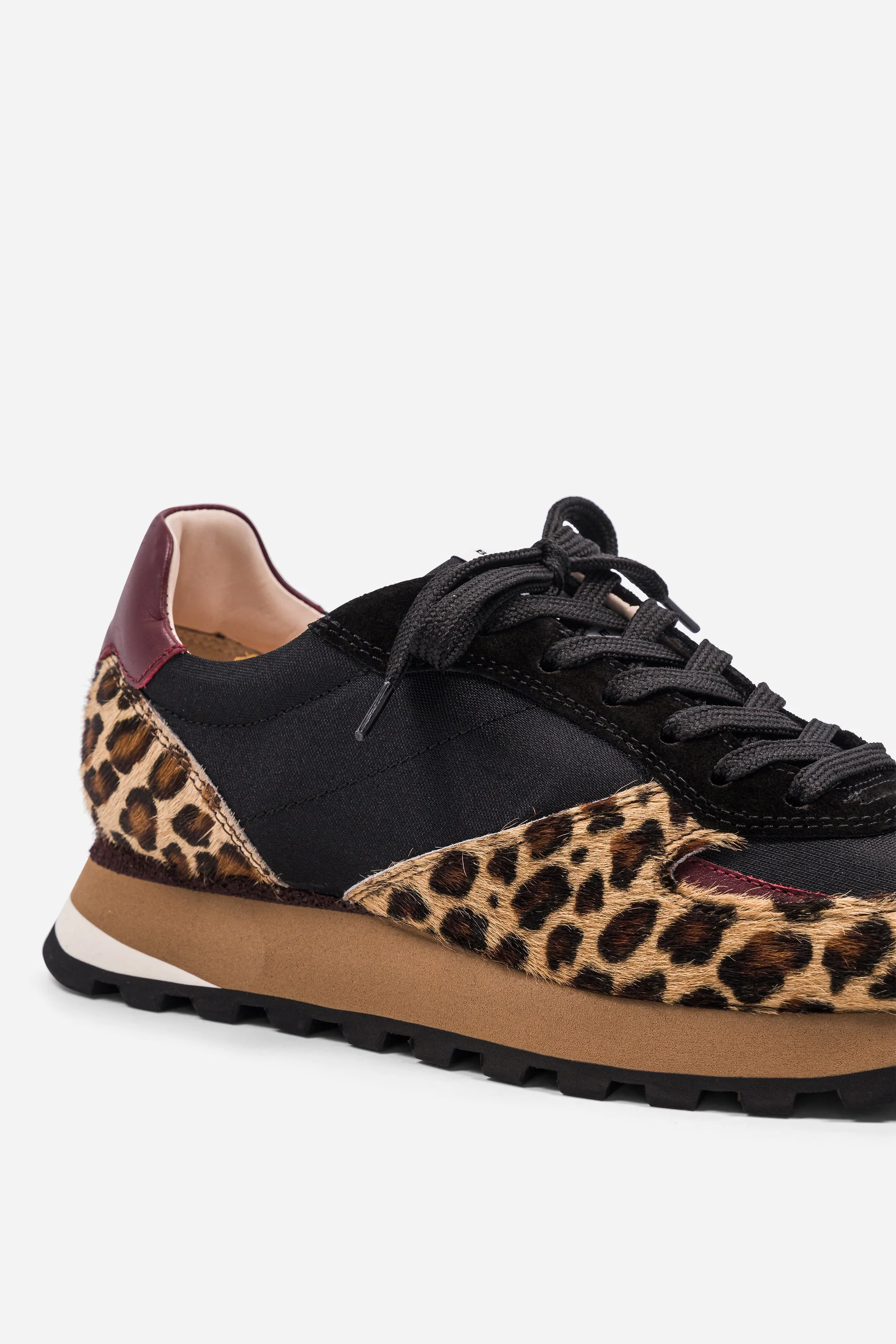 B6 Safari - Black - Image 4