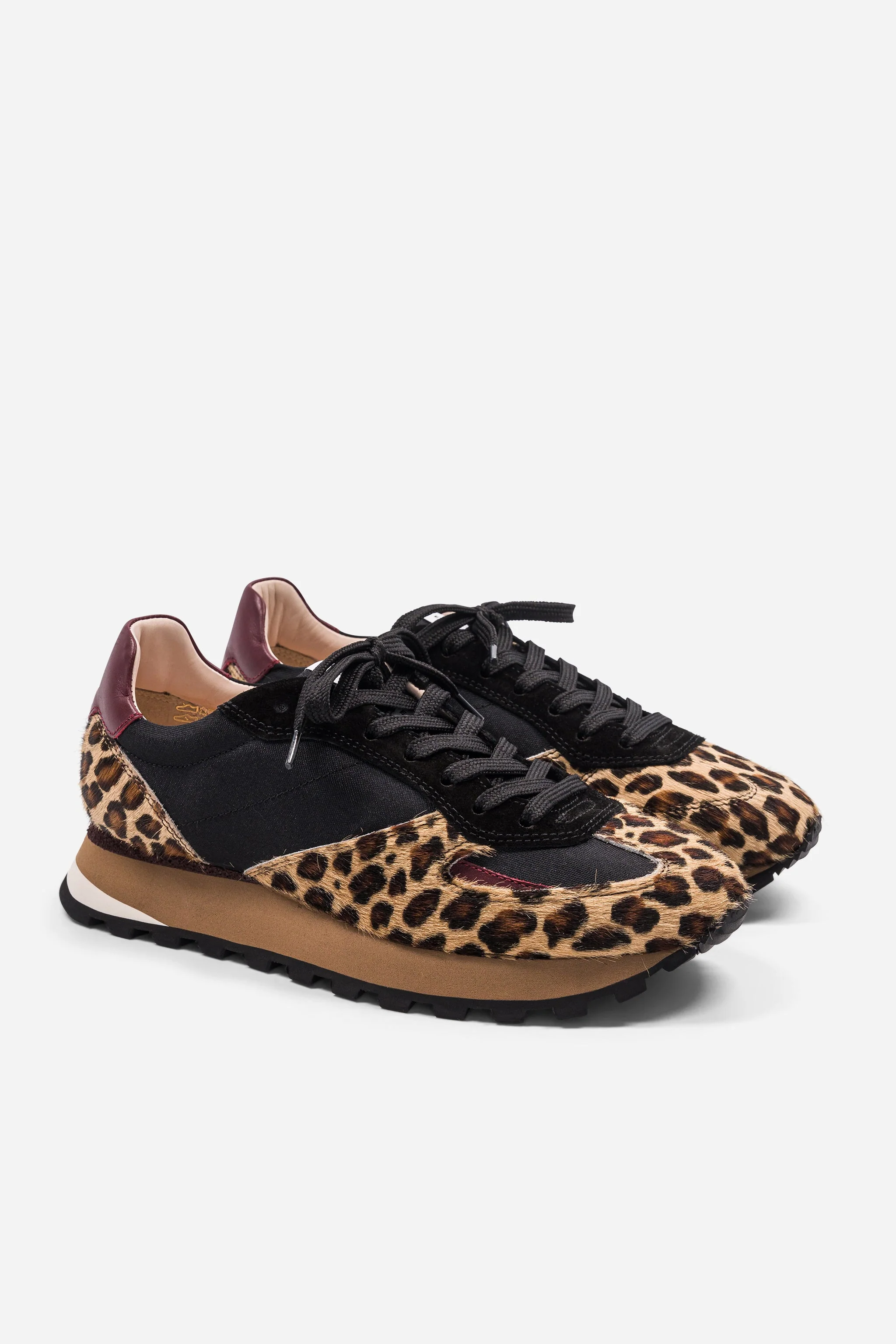 B6 Safari - Black - Image 5