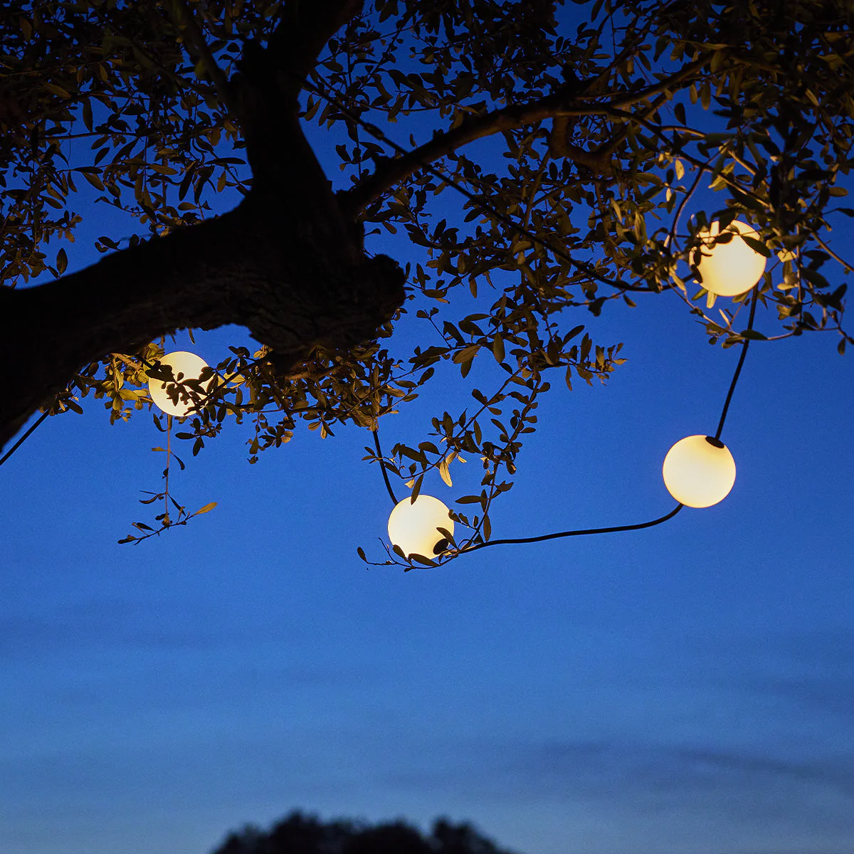 Guirlande Filaire Led - Bolly Light - Image 2