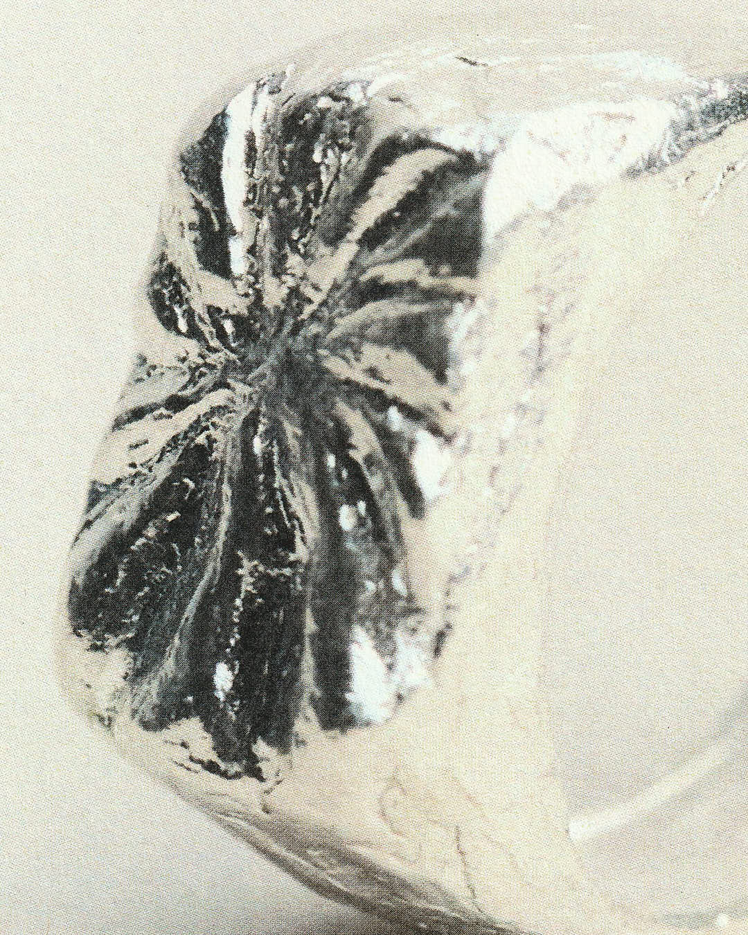 Bague Carmina - 925 Silver - Image 6