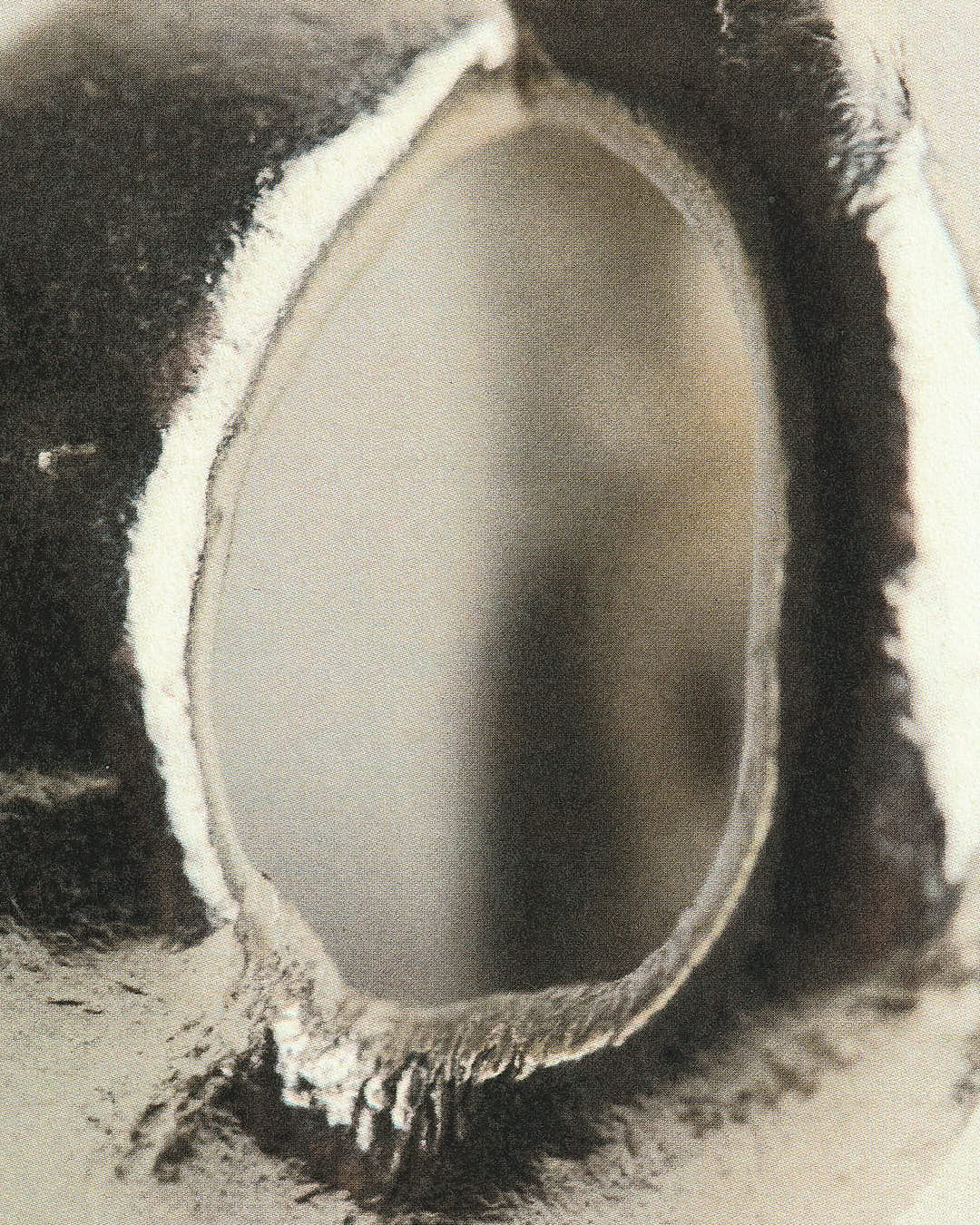 Bague Cécilia - 925 Silver - Image 5