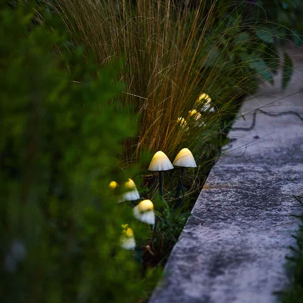 Décoration Lumineuse Solaire - Champy - Image 2