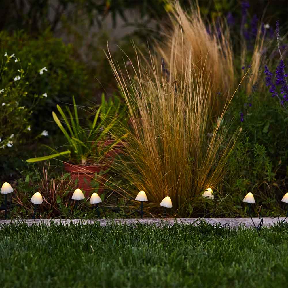 Décoration Lumineuse Solaire - Champy - Image 5