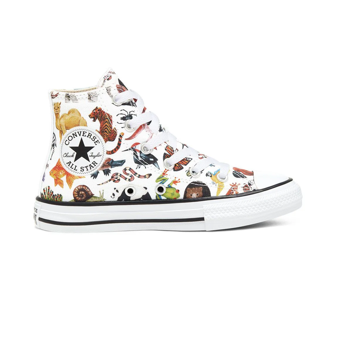 Baskets Converse Chuck Taylor All Star Science Class High Top Junior - Blanc - Image 3