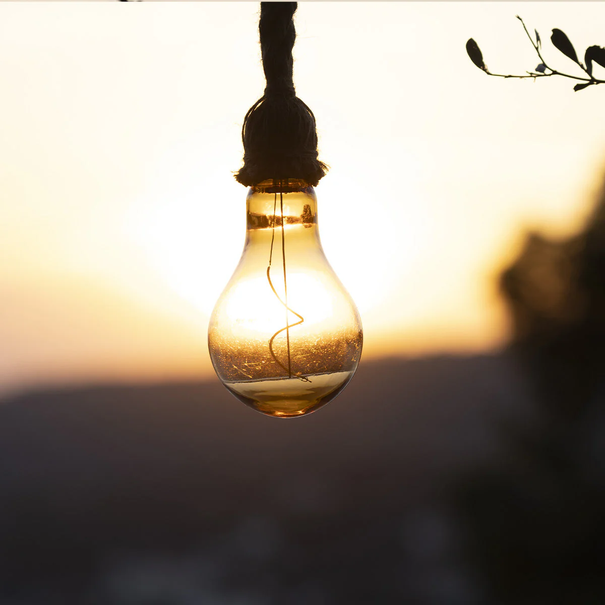 Suspension Solaire - Cordy - Image 3