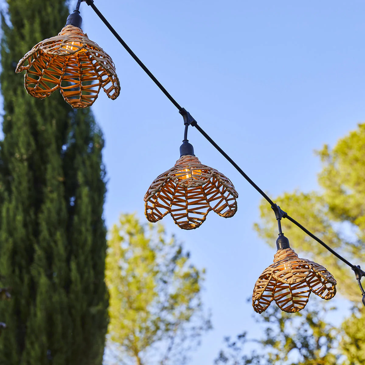 Guirlande Filaire E27 - Flower Light - Image 2