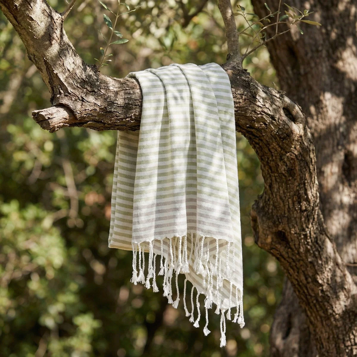 Fouta Paréo - Coton - Vert Amande / Taupe Clair - Bora Bora - Image 4