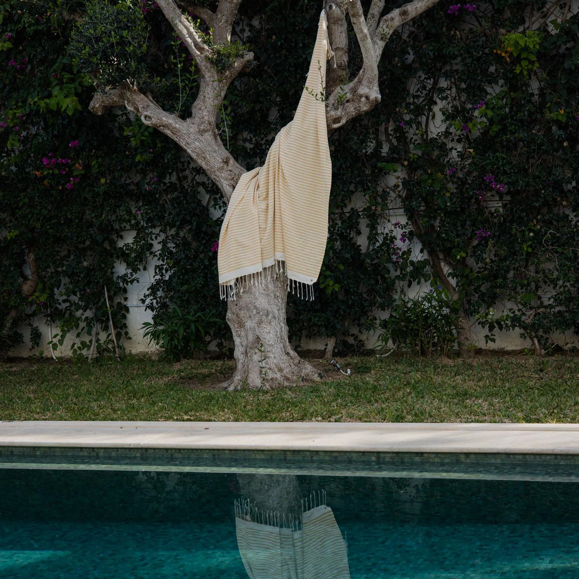 Fouta XXL - Coton - Jaune Moutarde - Hossegor - Image 2