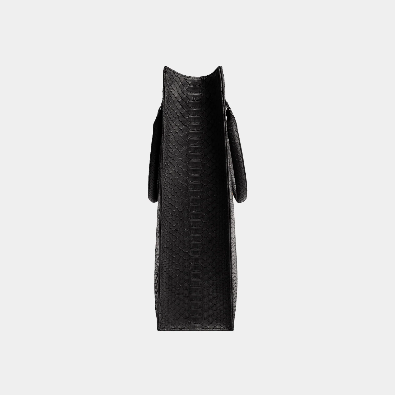 Sac Python - Fred Black - Image 2