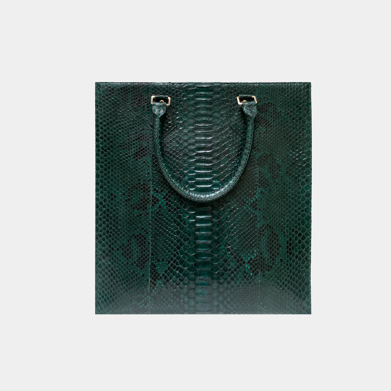 Sac Python - Fred Green