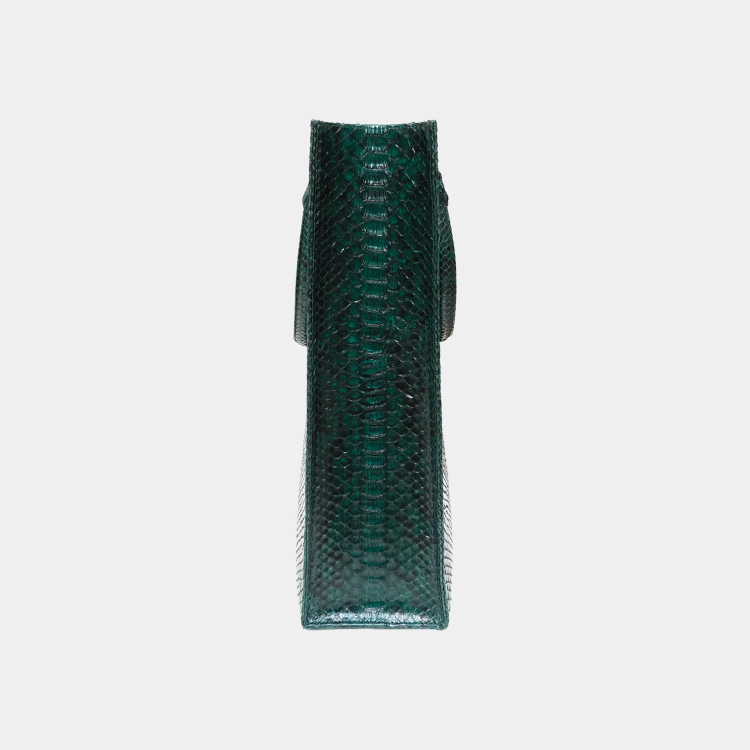 Sac Python - Fred Green - Image 2