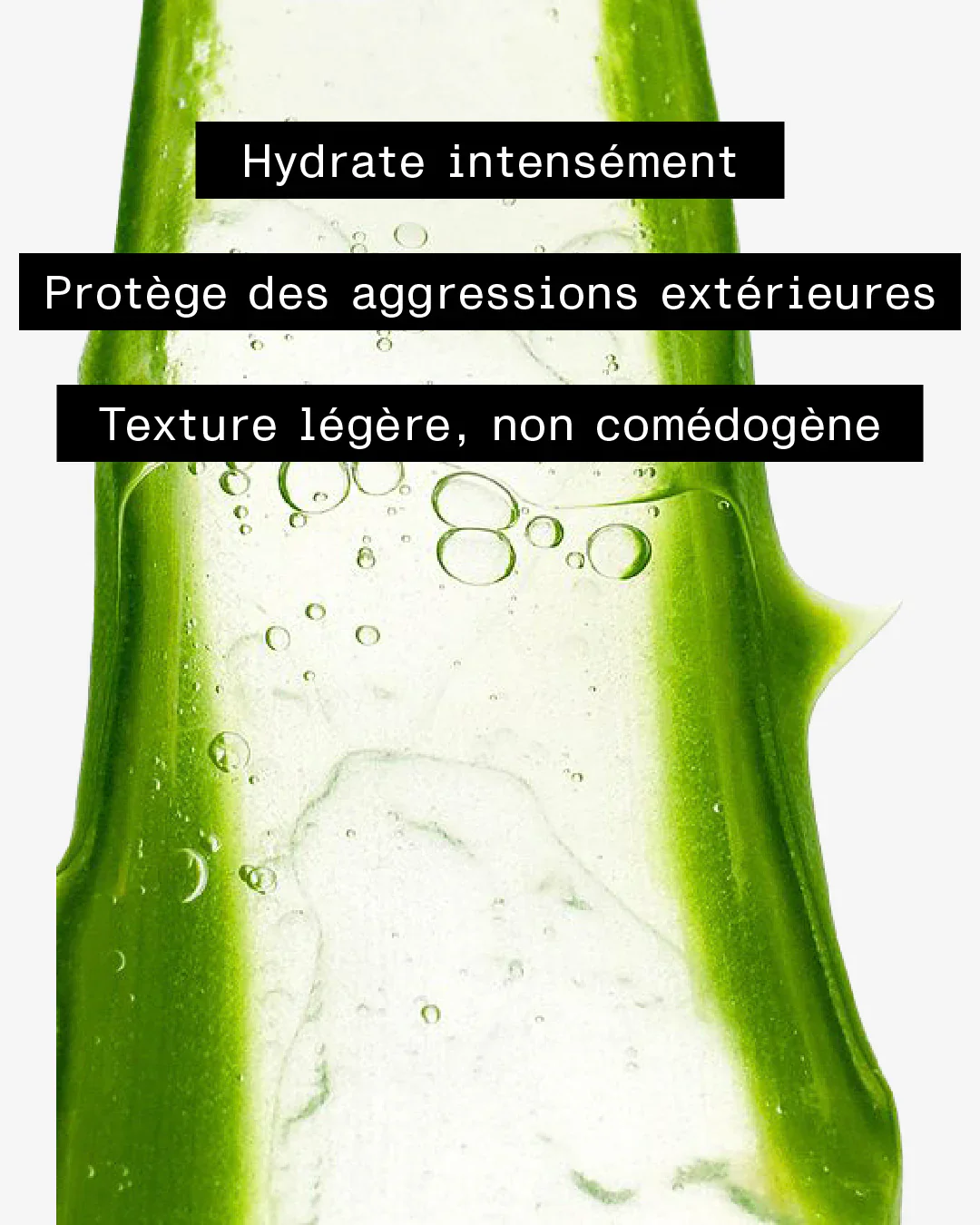 Gel-Crème Jour Bio - Image 6