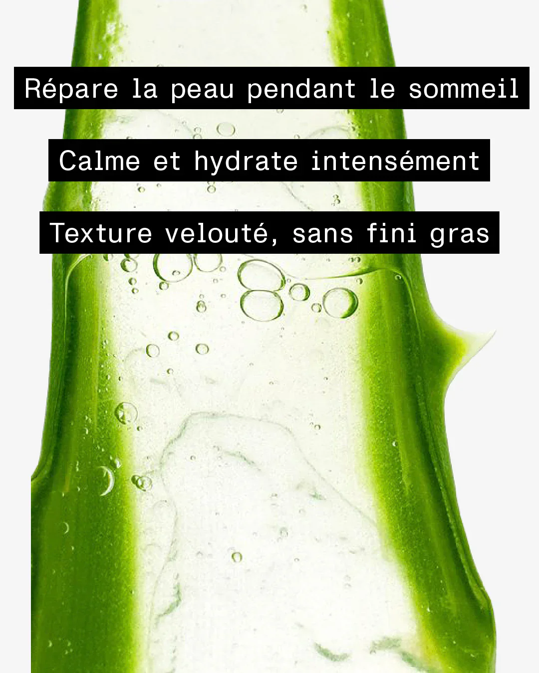 Gel-Crème Nuit Bio - Image 9
