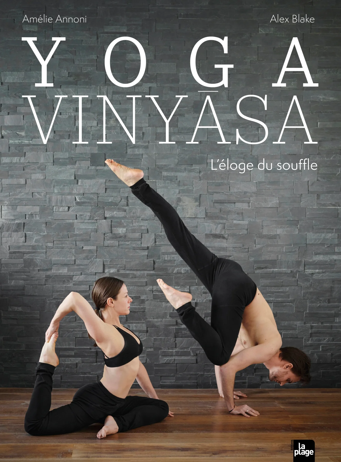 Livre Yoga Vinyasa - Image 2