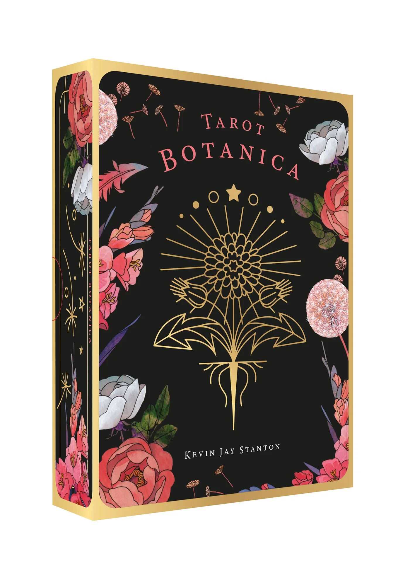 Coffret Tarot Botanica - Image 2