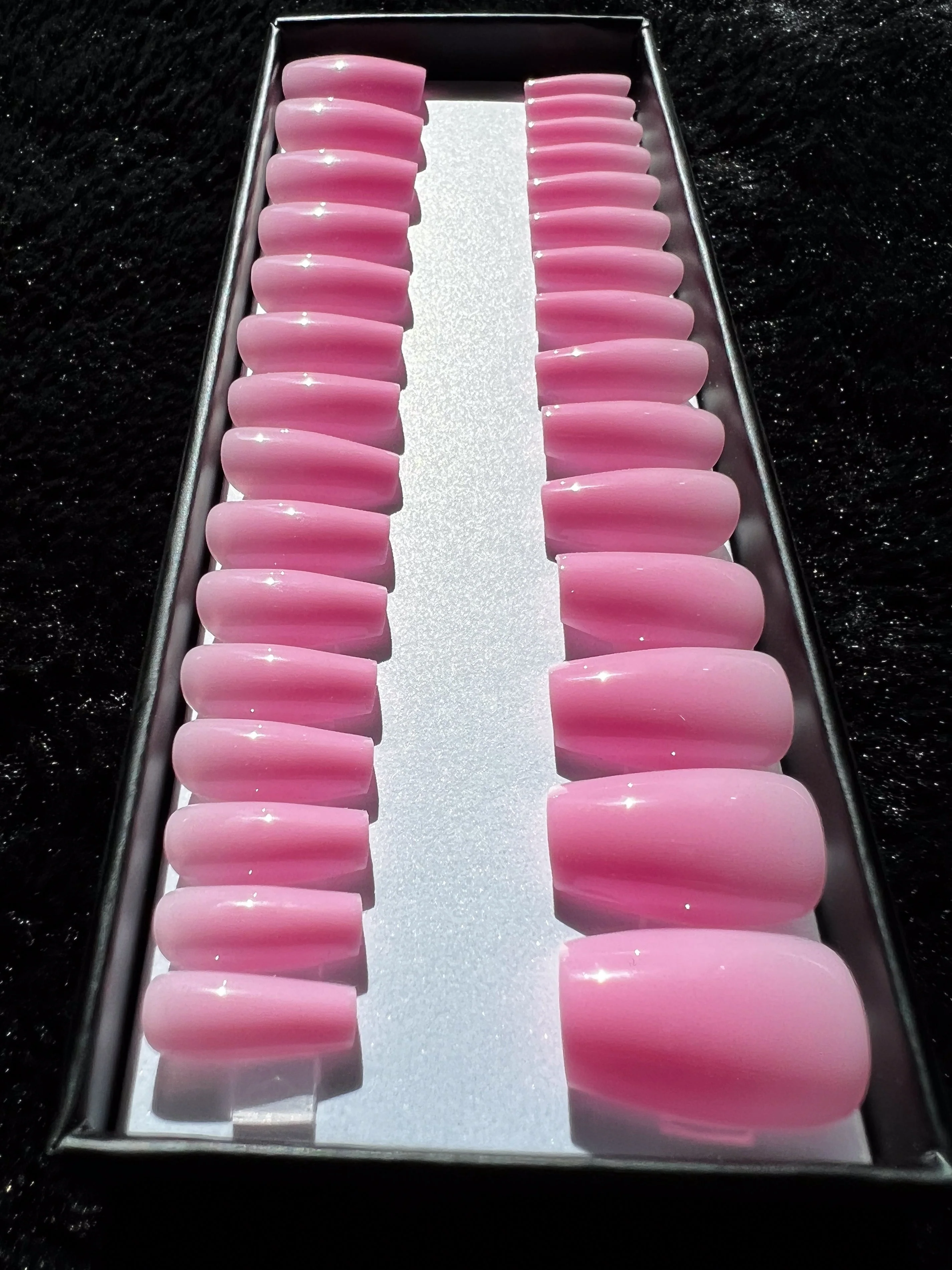 Hibiscus - Image 3