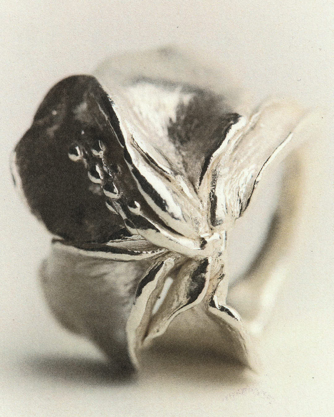 Bague Jeanette - 925 Silver - Image 2