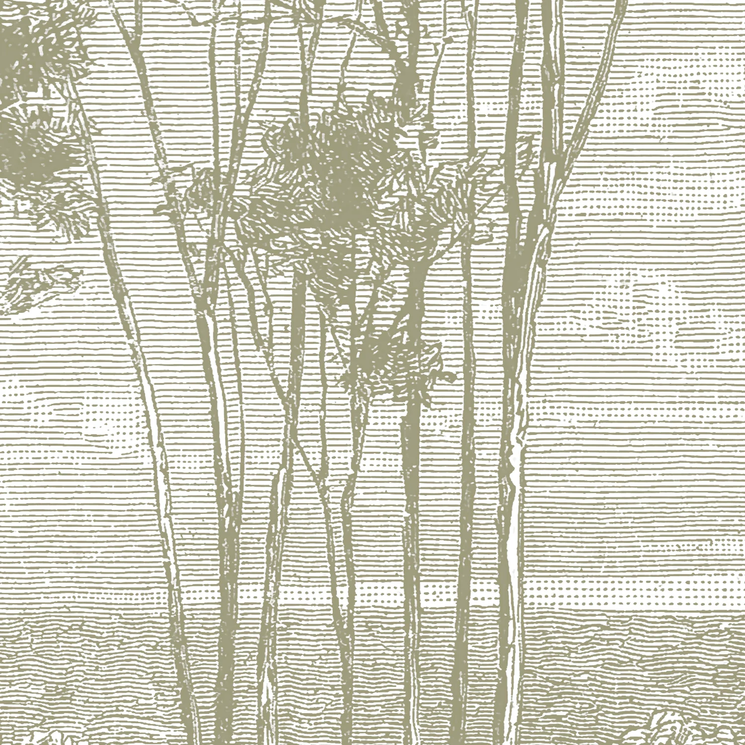 Papier Peint Panoramique Eucalyptus Trees - Sauge - Image 2