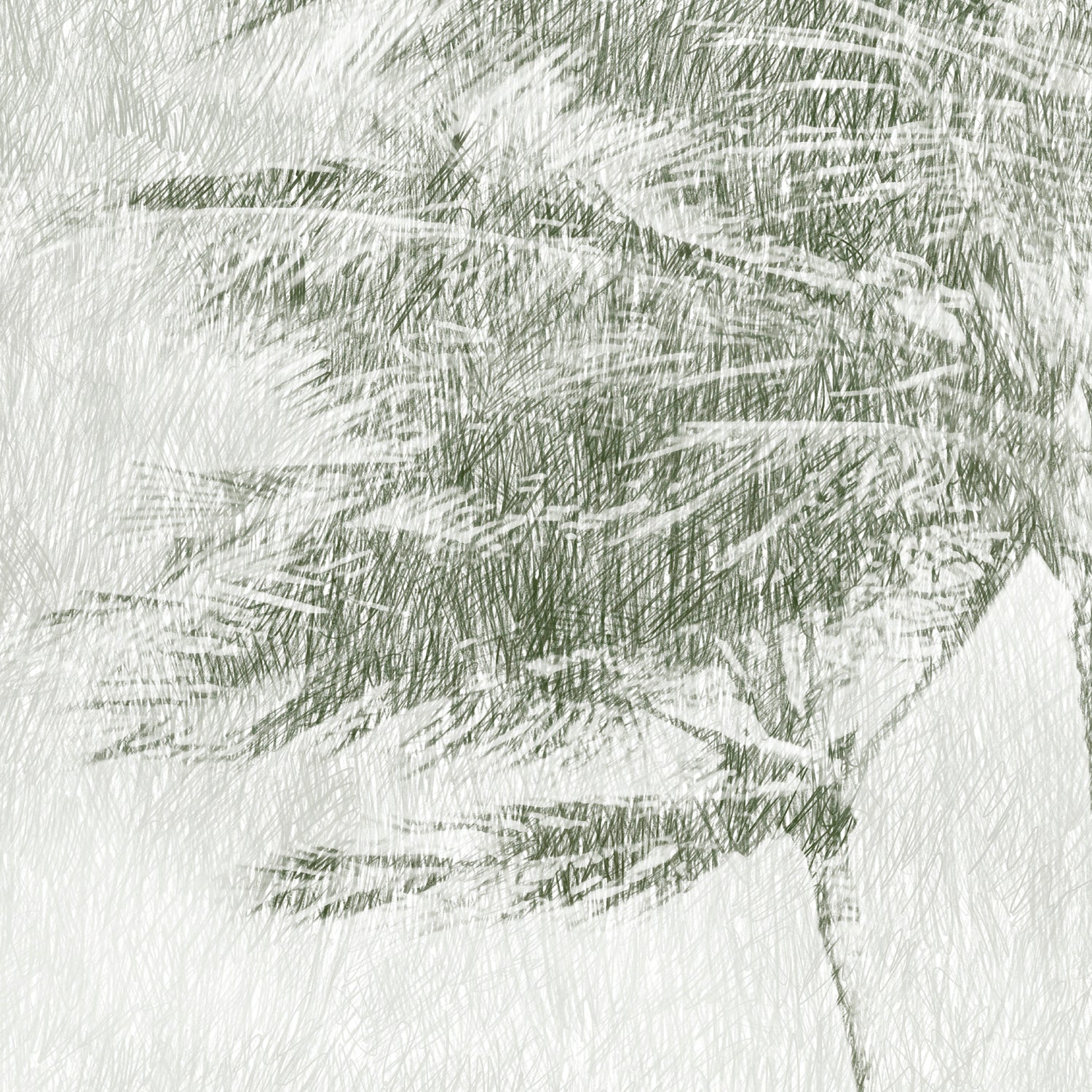 Papier Peint Panoramique Hawaï - Multicolore - Image 4