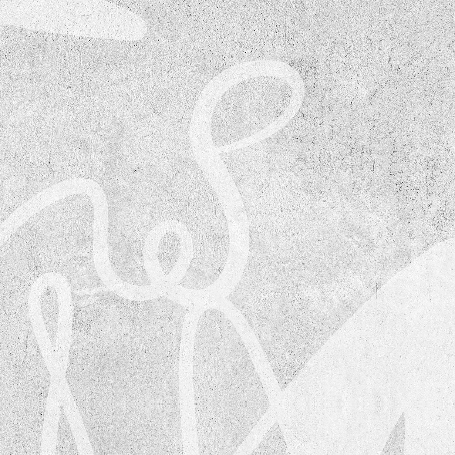 Papier Peint Panoramique Mahsa Gris Xl - Gris - Image 3