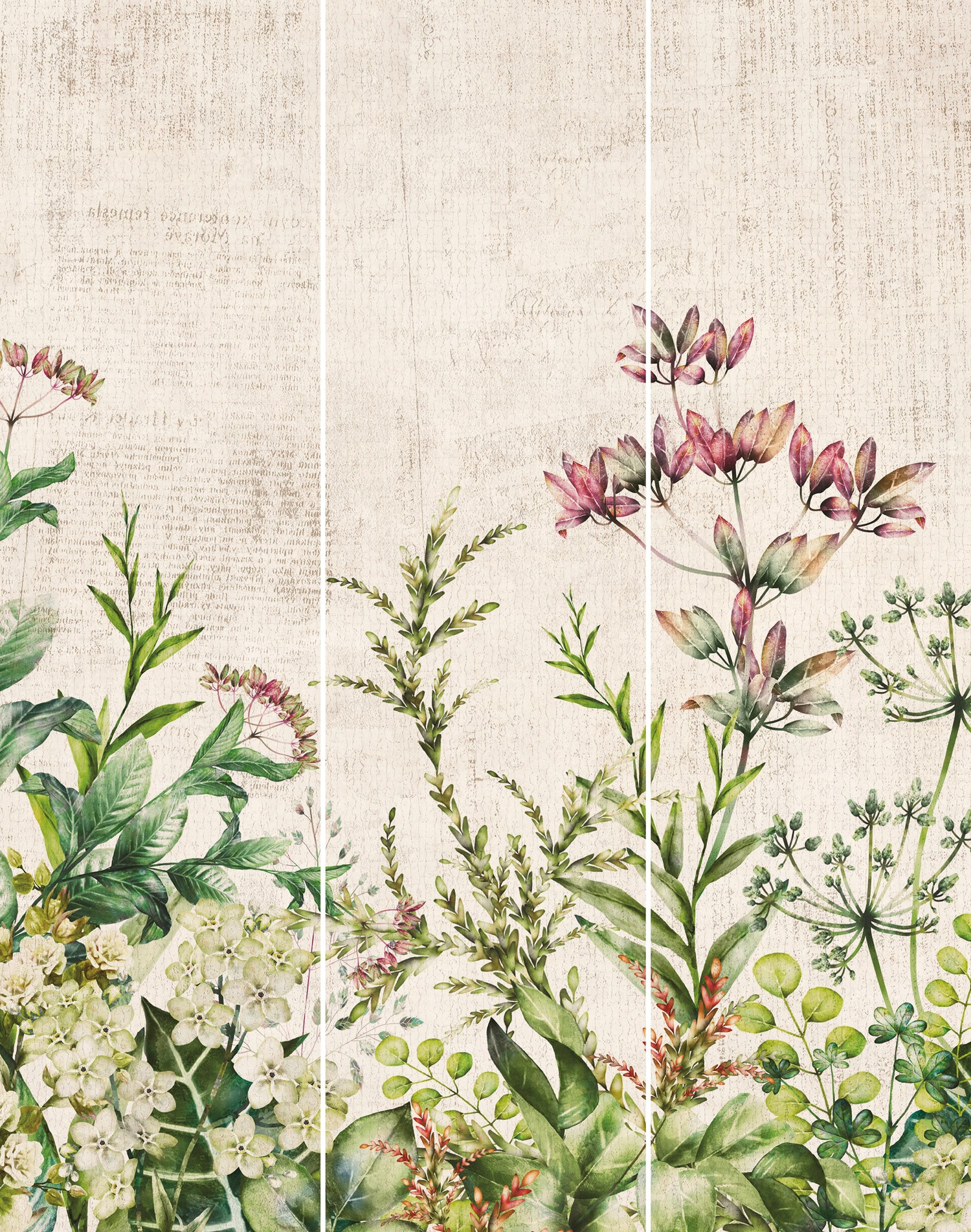 Adhésif De Placard Herbier Sauvage - Multicolore - Image 3