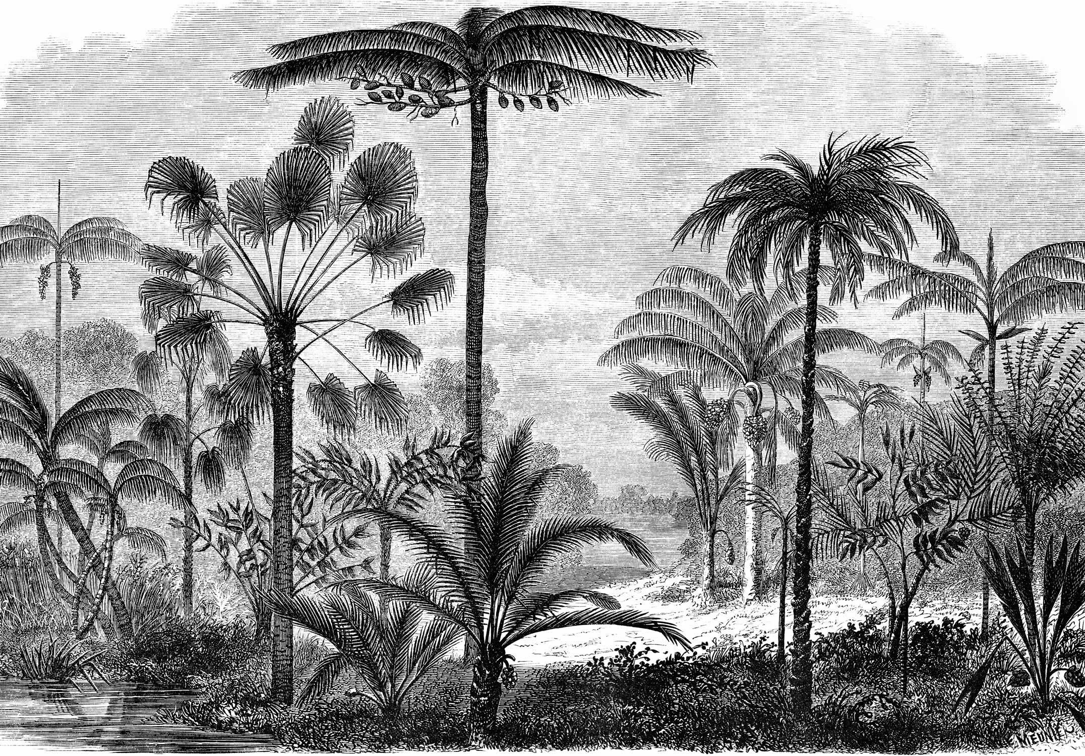 Papier Peint Panoramique Aladin - Noir - Image 5