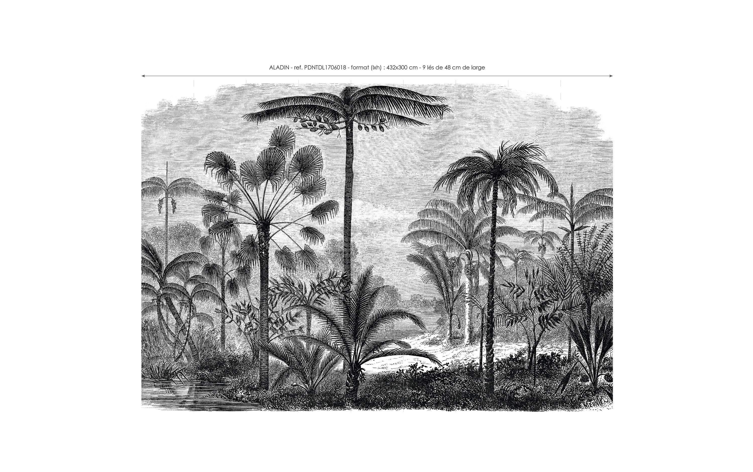 Papier Peint Panoramique Aladin - Noir - Image 6