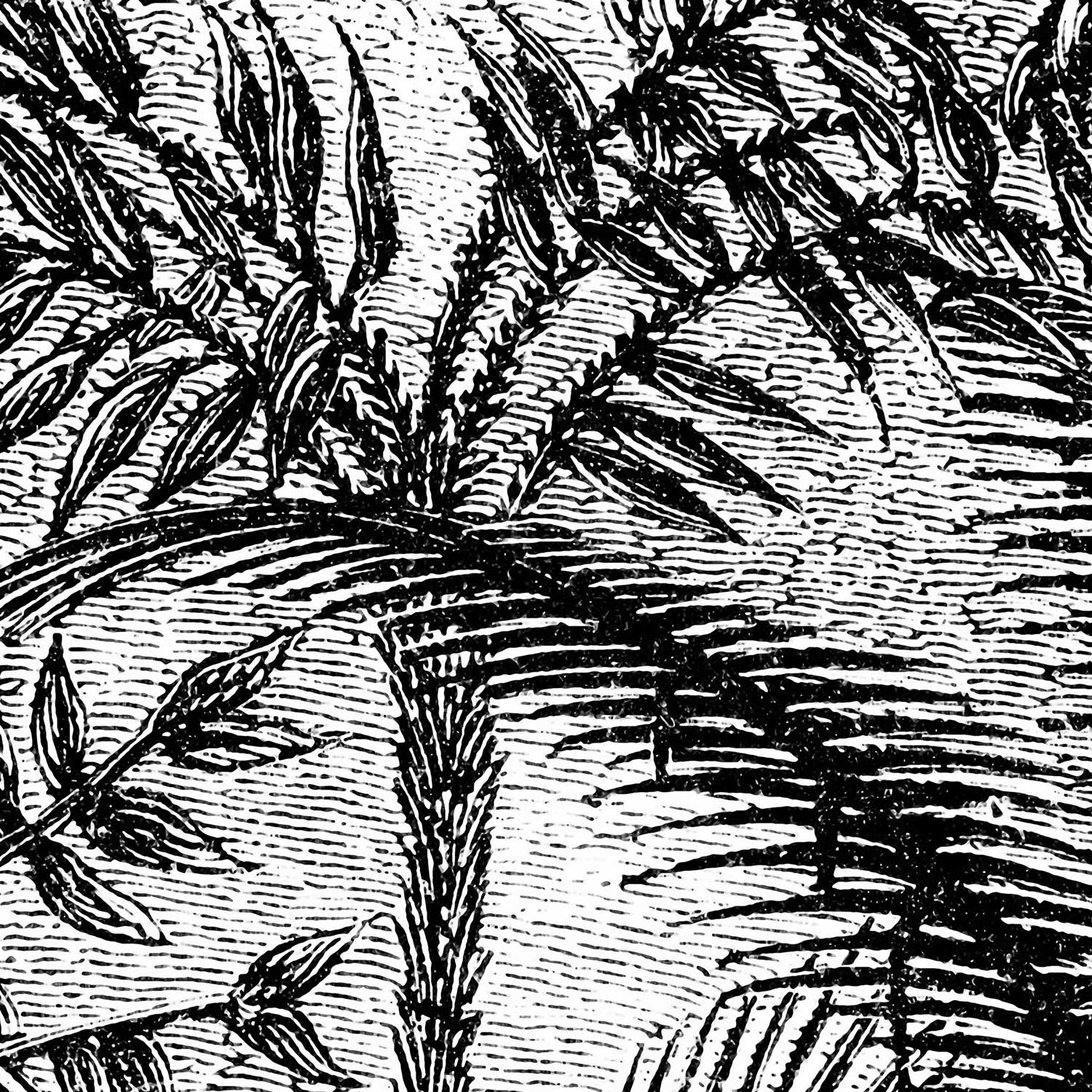 Papier Peint Panoramique Aladin - Noir - Image 7