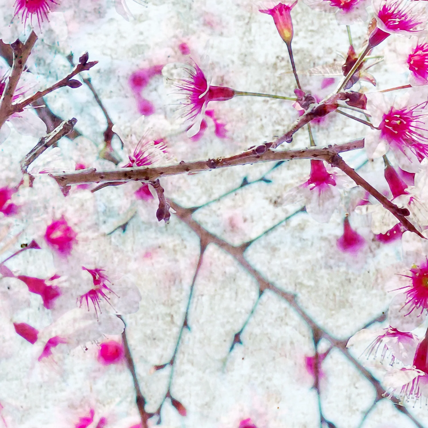 Papier Peint Panoramique Bloom - Multicolore - Image 4