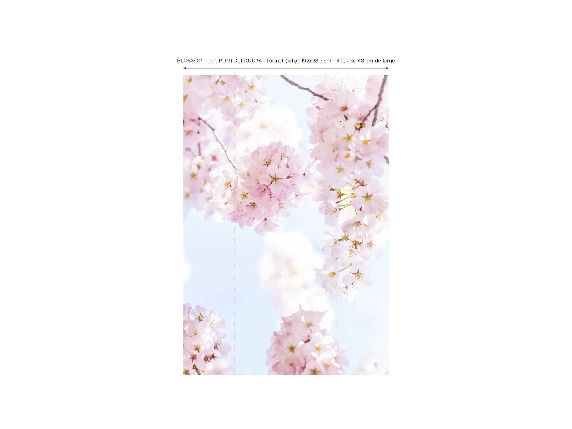 Papier Peint Panoramique Blossom - Multicolore - Image 5