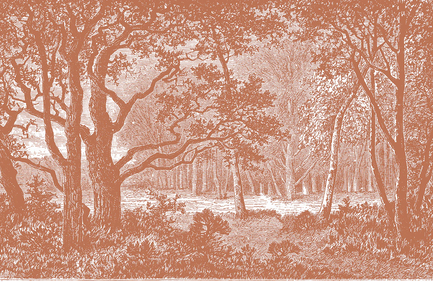Papier Peint Panoramique Brocéliande - Noisette - Image 7