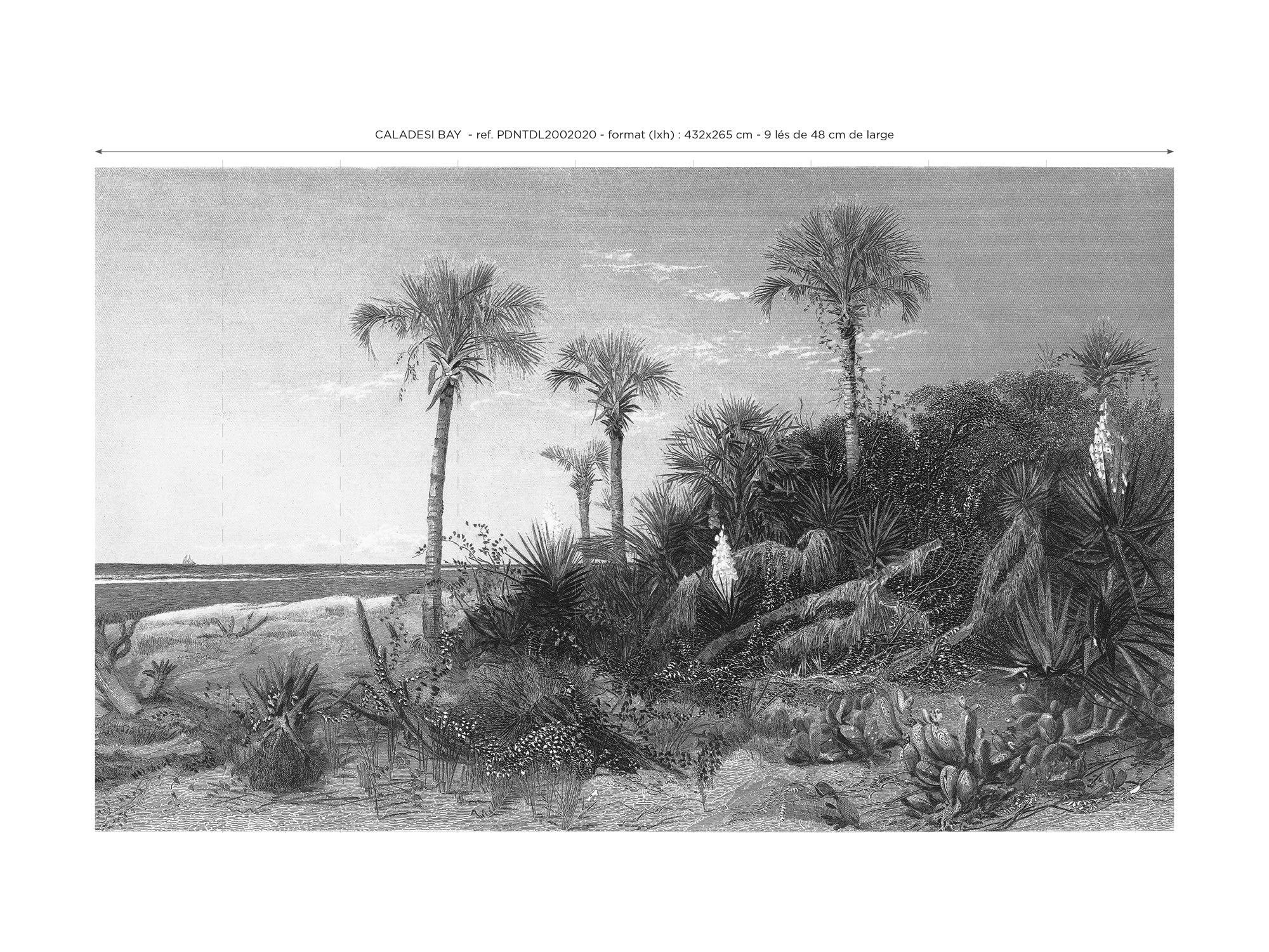 Papier Peint Panoramique Caladesi Bay - Noir - Image 6