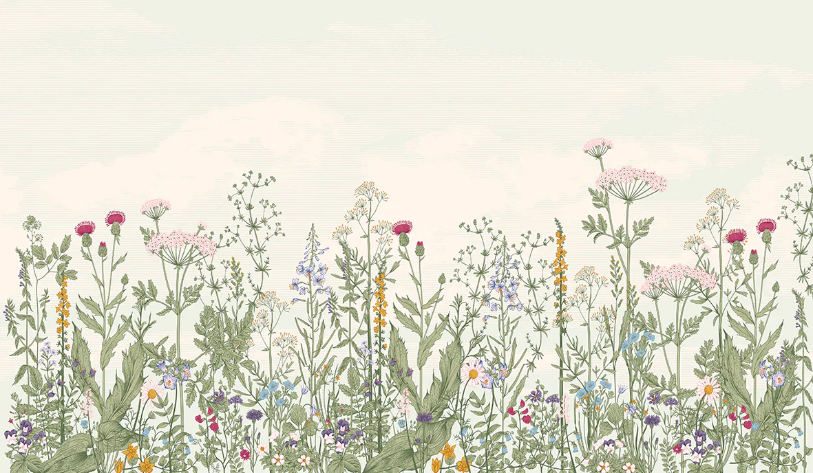 Papier Peint Panoramique Centaurée - Multicolore - Image 7