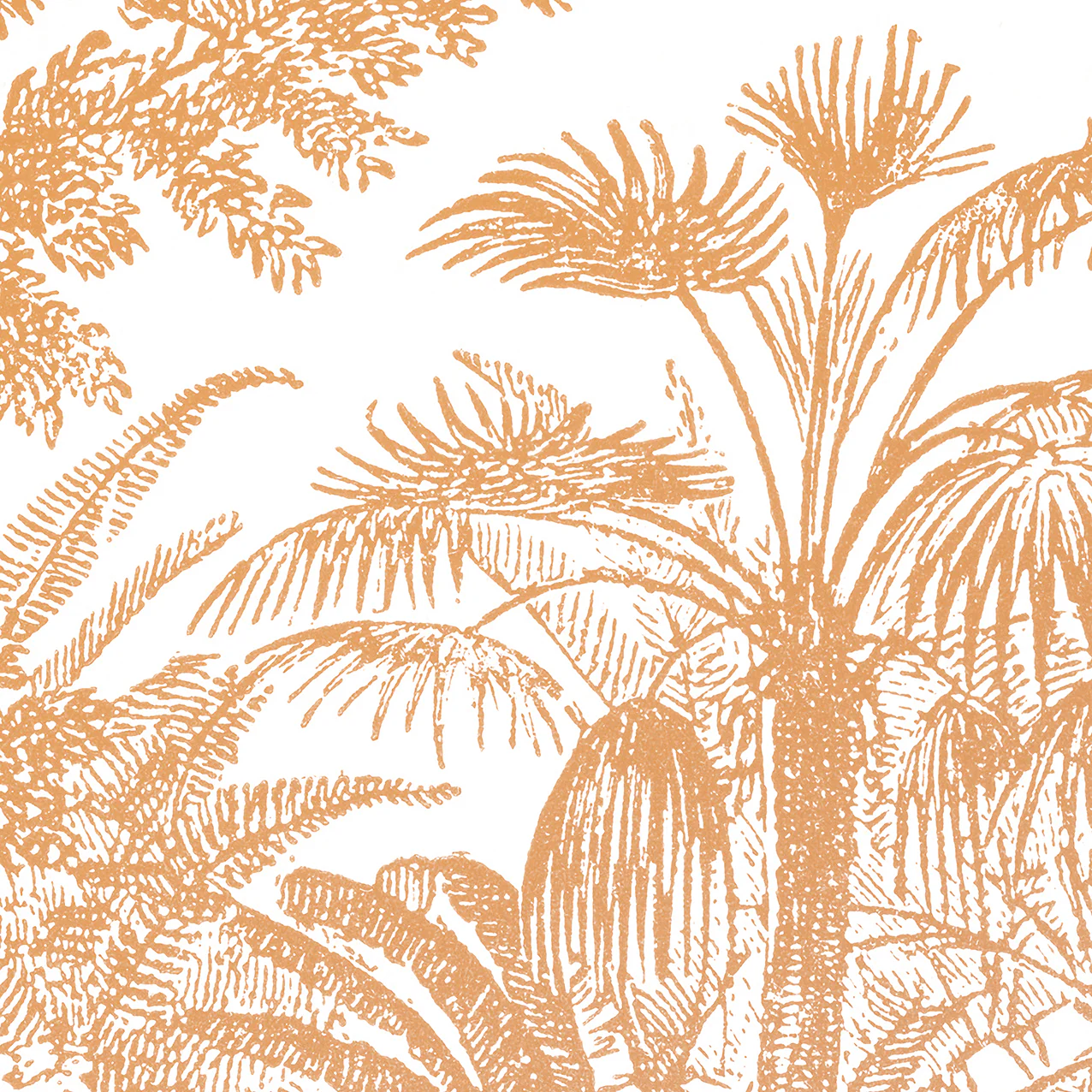 Papier Peint Panoramique Araucaria - Ocre Rose - Image 2