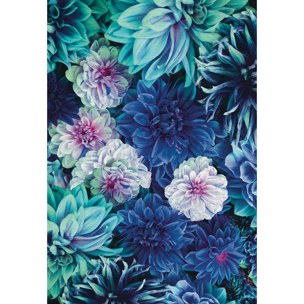 Papier Peint Panoramique Dahlia Bleu - Bleu - Image 4