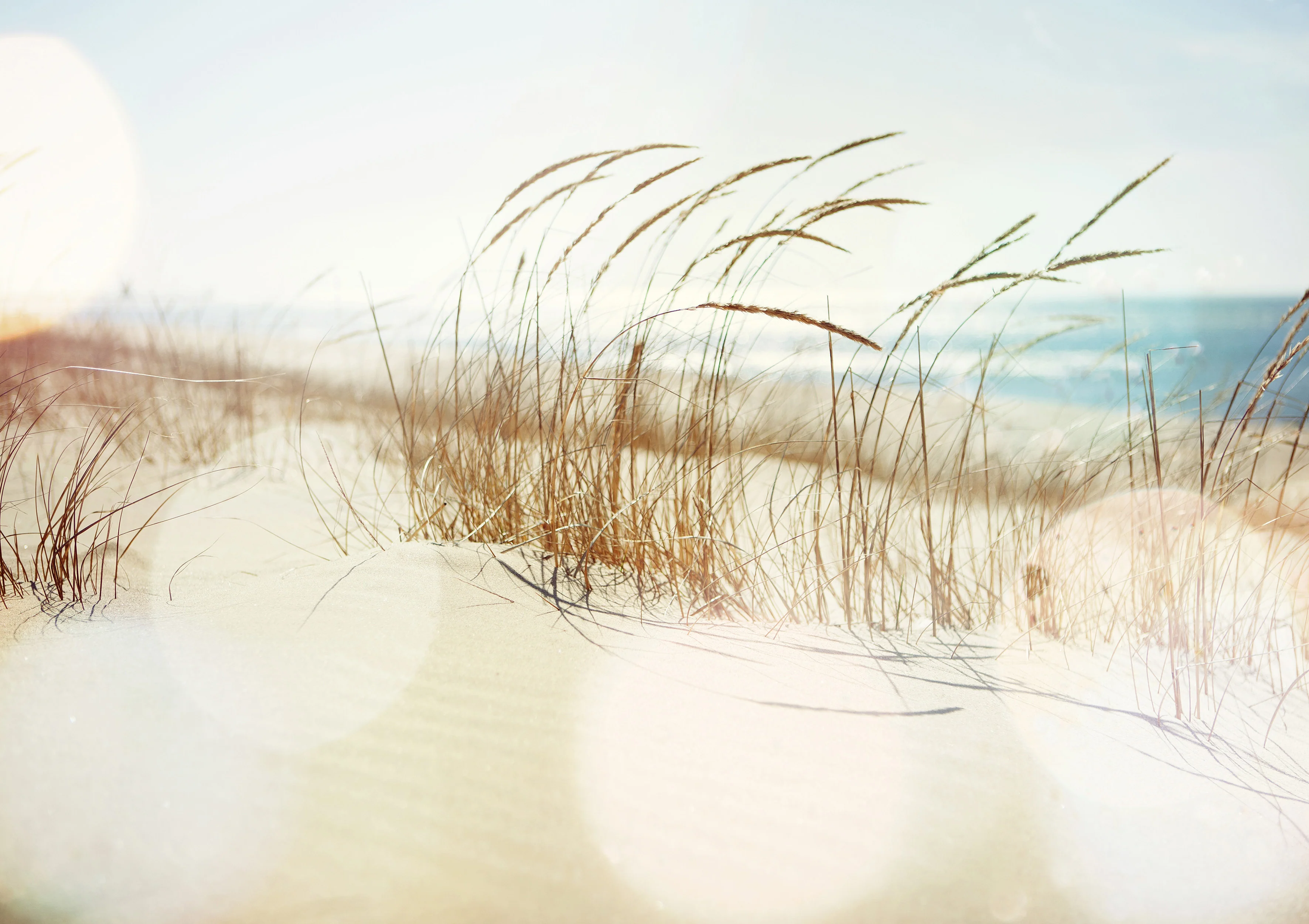 Papier Peint Panoramique Dune - Multicolore - Image 6