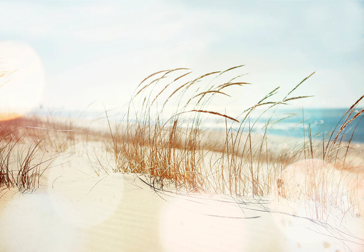 Papier Peint Panoramique Dune Xl - Multicolore - Image 6