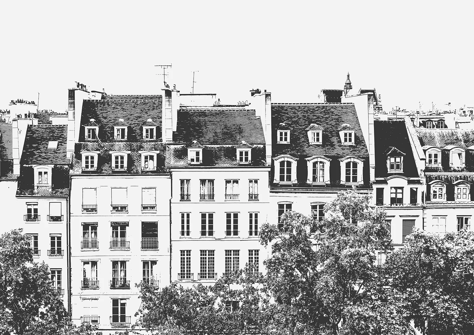 Papier Peint Panoramique Grands Boulevards - Noir - Image 5