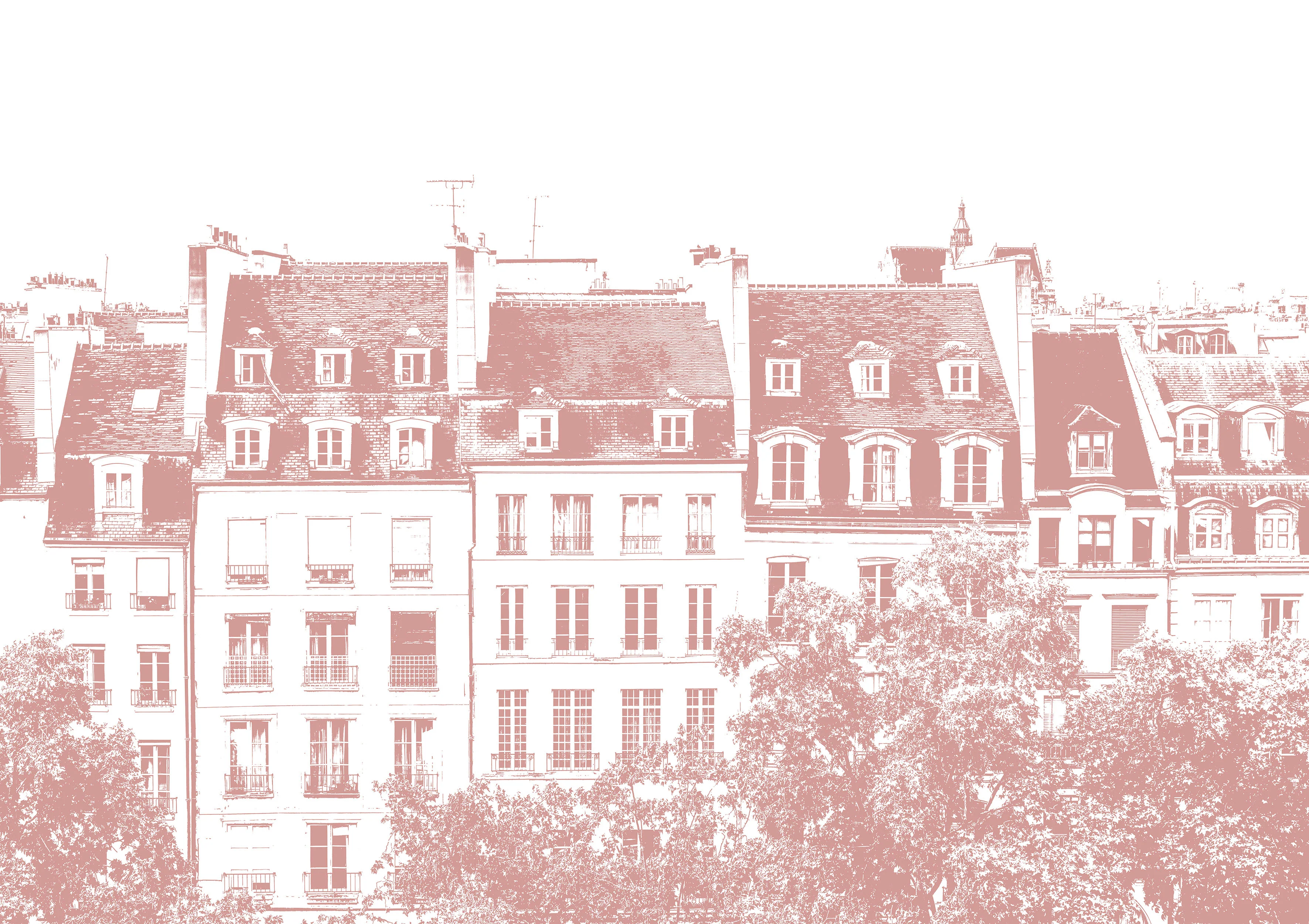 Papier Peint Panoramique Grands Boulevards - Vieux Rose - Image 2