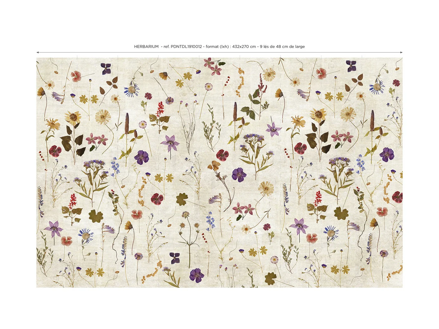 Papier Peint Panoramique Herbarium - Multicolore - Image 2