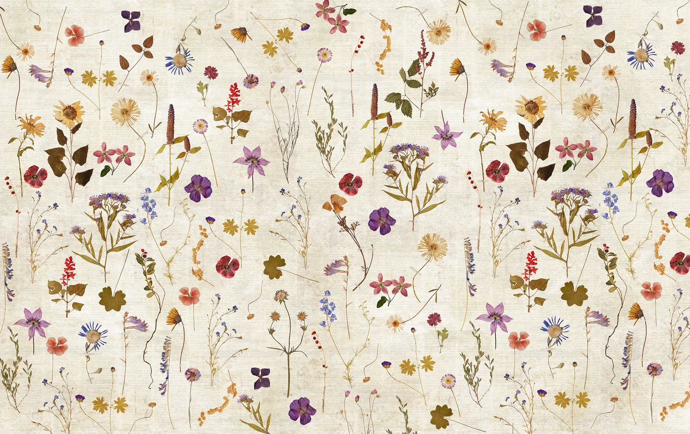 Papier Peint Panoramique Herbarium - Multicolore - Image 7