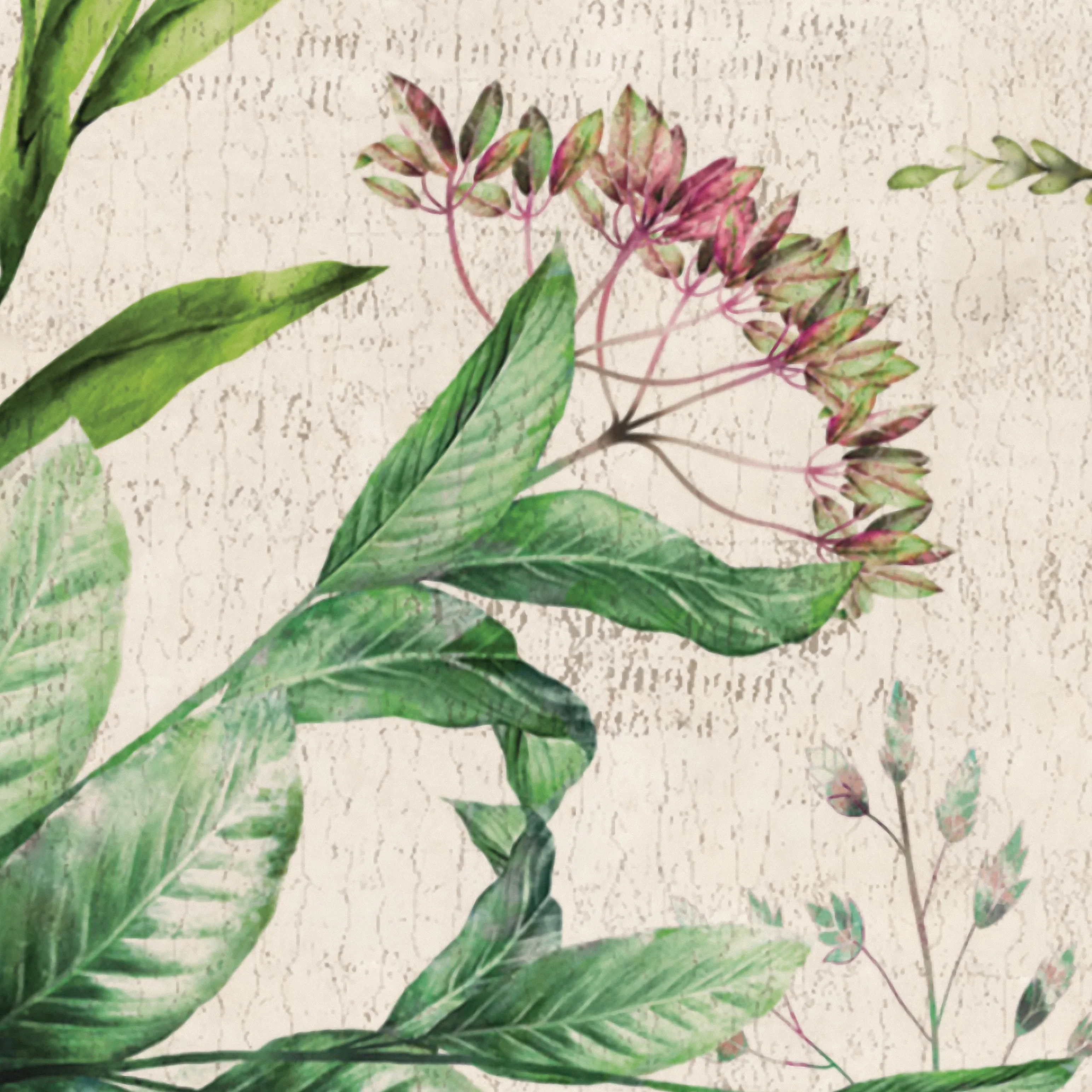 Papier Peint Panoramique Herbier Sauvage - Multicolore - Image 5